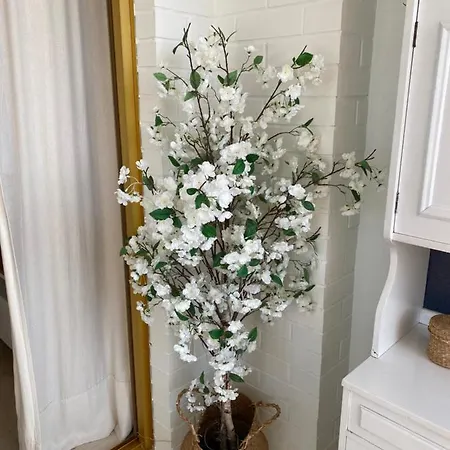 Apartmán Zurbaran Levante Centro