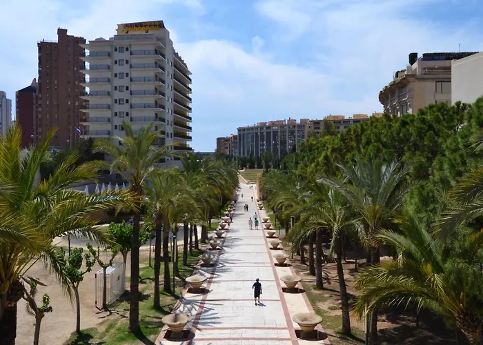 Zurbaran Levante Centro * Benidorm